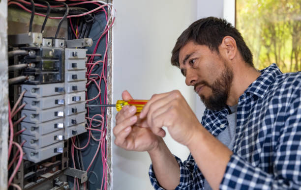 Best Electrical Panel Upgrades  in Yerington, NV